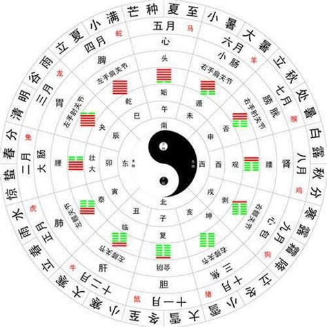 天干代表什麼|天干地支:基本概念,乾支與星象,乾支涵義,象法,組合序。